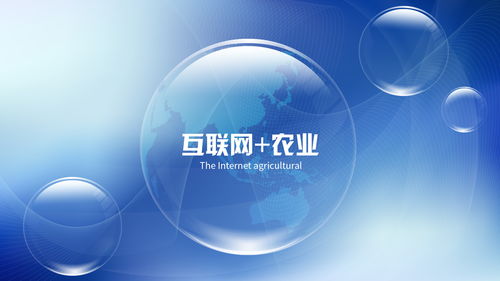 發(fā)掘生活創(chuàng)業(yè)商機 網(wǎng)絡(luò)技術(shù)領(lǐng)域的巨大潛力