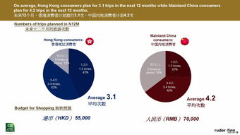 了解96I.T.: 專業數據服務引領信息時代洞察力